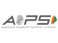 business solution aeps